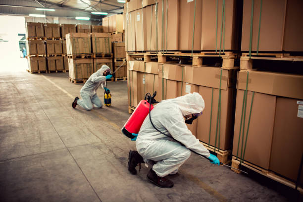 Best Affordable Pest Control Services  in Girard, IL