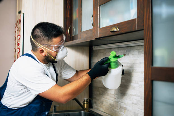 Best Best Pest Control Companies  in Girard, IL
