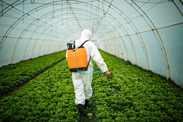 Best Pest Control for Businesses  in Girard, IL