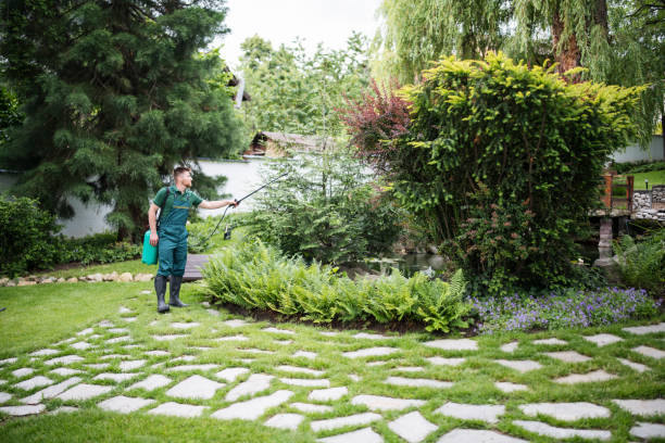 Best Commercial Pest Control Services  in Girard, IL