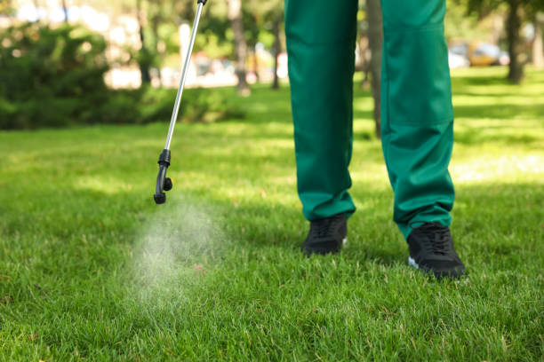 Best Rodent Control Near Me  in Girard, IL