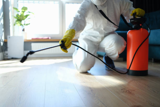 Best Pest Control for Businesses  in Girard, IL