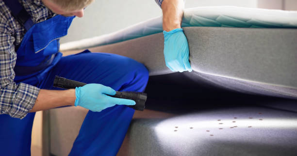 Best Flea Control Services  in Girard, IL
