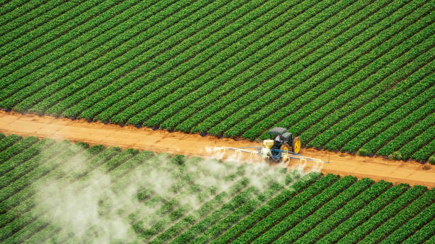 Best Pest Prevention Services  in Girard, IL