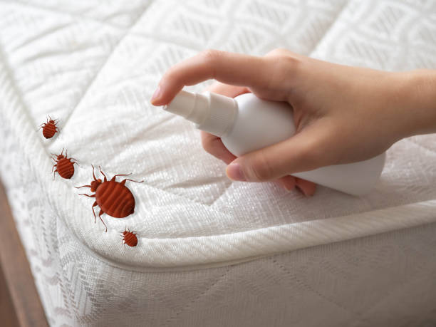 Best Commercial Pest Control Services  in Girard, IL