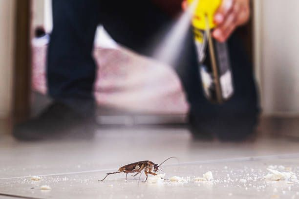 Best Local Pest Control Services  in Girard, IL