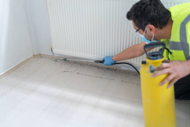 Best Pest Inspection Near Me  in Girard, IL