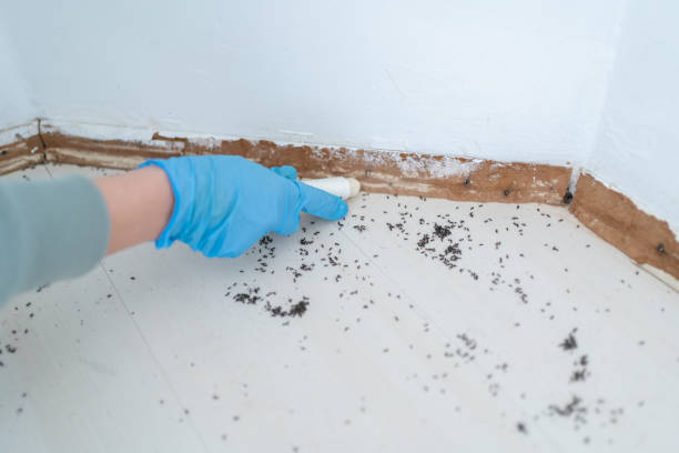 Best Emergency Pest Control  in Girard, IL