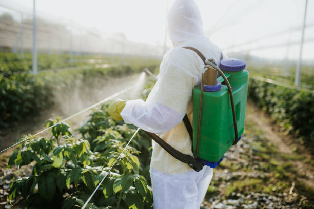 Best Pest Prevention Services  in Girard, IL